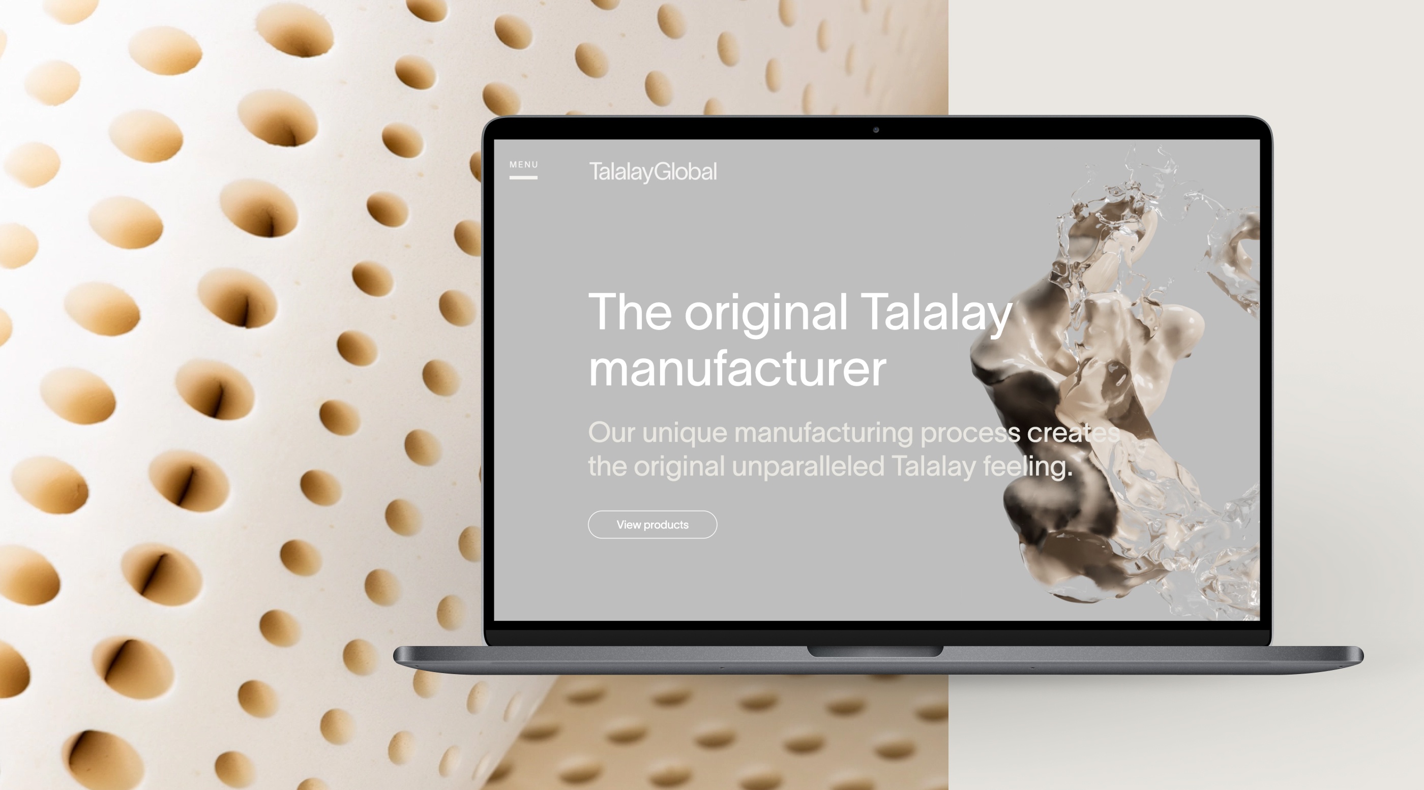 Talalay Global website mockup